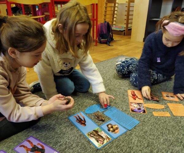 Ein Projekt der Klassen 1.-3. über die Entwicklung des Menschen in der Zeitachse.