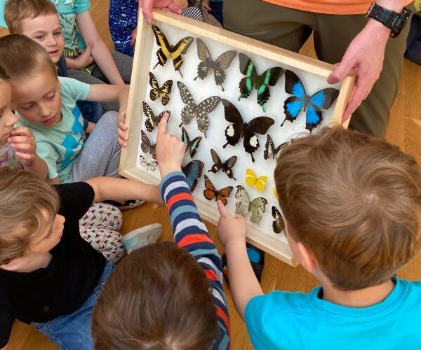 Wunderschöne Schmetterlinge in unserem Kindergarten.