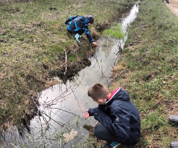 Naturkundlicher Spaziergang