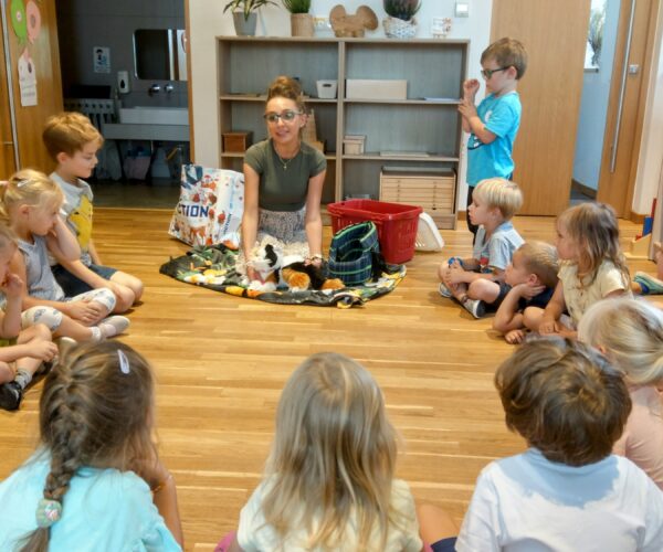 Demonstrationskurse in der Felinotherapie