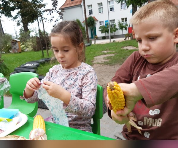 Herbstliche kreative Aktivitäten mit Mais.