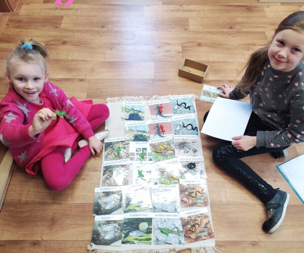 Die Zusammenarbeit der Schul und Kindergartenkinder während der Montessori Arbeit.