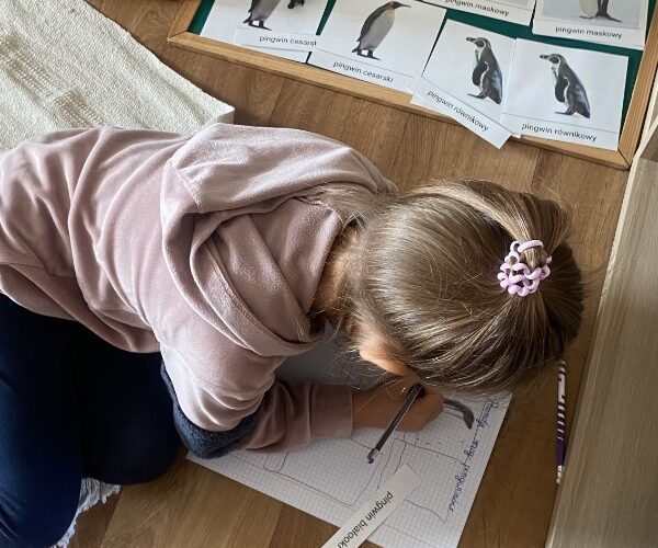 Arbeit mit Montessori-Materialien.