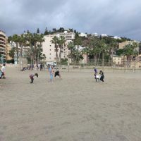 img 06