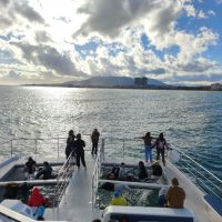 img 09
